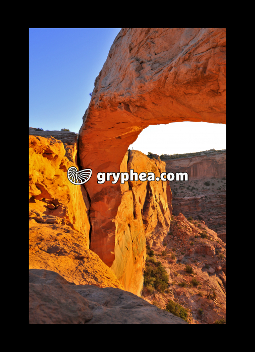 Mesa Arch Canyonlands NP (Utah, USA) - gryphea.org